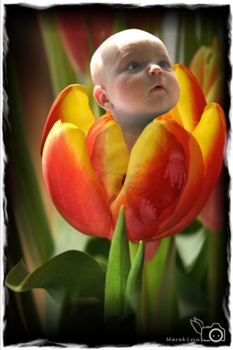 Thumbelina